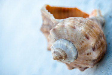 Similar image 2895542