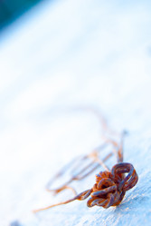 Similar image 2895552