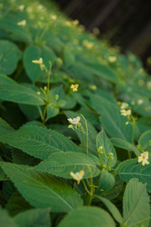 Similar image 2895567