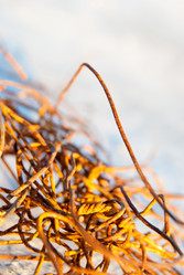 Similar image 2895566