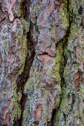 Similar image 2895569