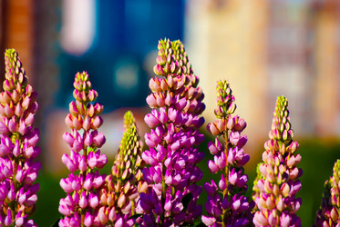 Similar image 2895572