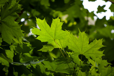 Similar image 2895577