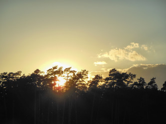 Similar image 2895582