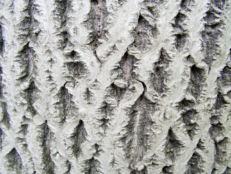 Similar image 2895596