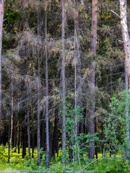 Similar image 2895598