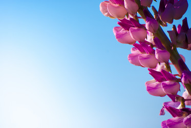 Similar image 2895601