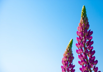 Similar image 2895602