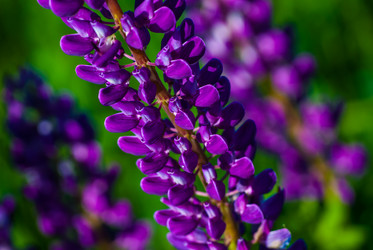 Similar image 2895609