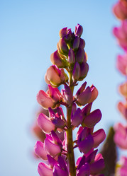 Similar image 2895610