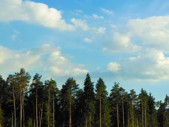 Similar image 2895612