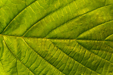 Similar image 2895613