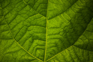 Similar image 2895614