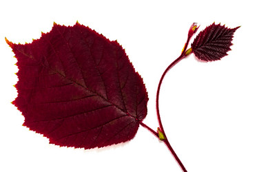 Similar image 2895615