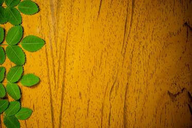 Similar image 2895616