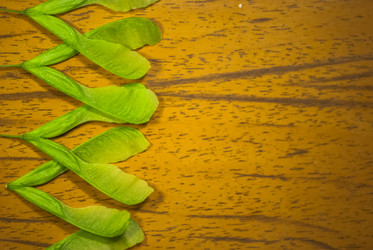 Similar image 2895620