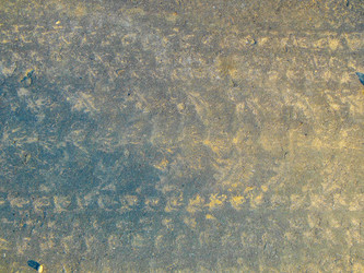 Similar image 2895626