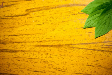 Similar image 2895631