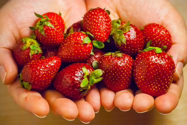 Similar image 2895633