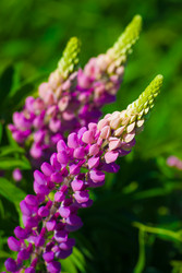 Similar image 2895639