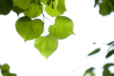 Similar image 2895645