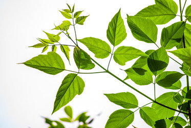 Similar image 2895647