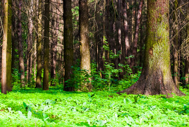 Similar image 2895651