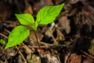 Similar image 2895661