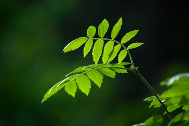 Similar image 2895662