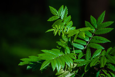 Similar image 2895663