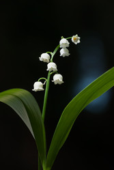 Similar image 2895665