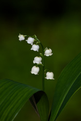 Similar image 2895666