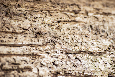 Similar image 2895668