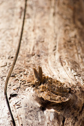 Similar image 2895669