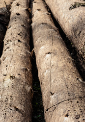 Similar image 2895670