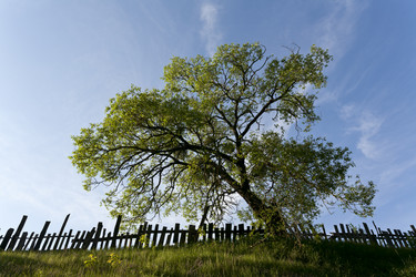 Similar image 2895702