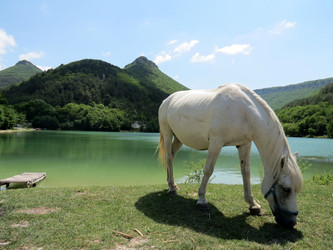 Similar image 2895773