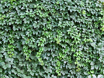 Similar image 2895783