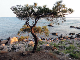 Similar image 2895789