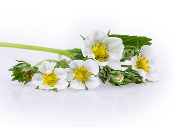 Similar image 2895795