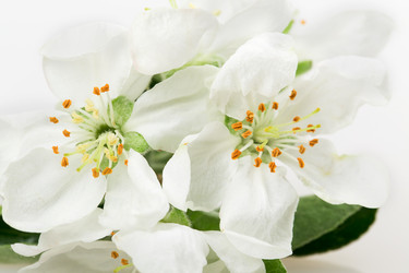 Similar image 2895796