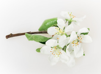 Similar image 2895797