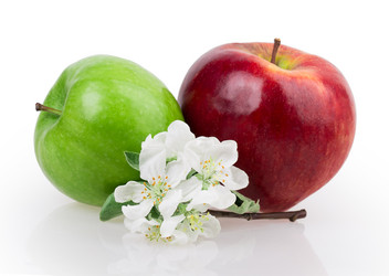 Similar image 2895799