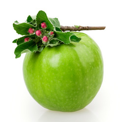 Similar image 2895800