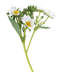 Similar image 2895802