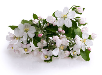 Similar image 2895804