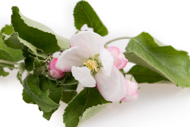 Similar image 2895806