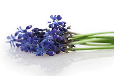 Similar image 2895809