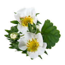 Similar image 2895810