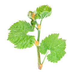 Similar image 2895817